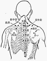 官員穴|醫砭 » 經穴庫 » 關元俞